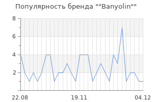 Популярность бренда banyolin