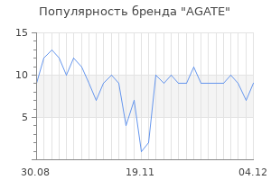 Популярность бренда agate