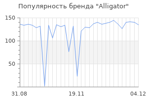 Популярность бренда alligator