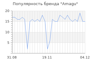 Популярность бренда Amagu