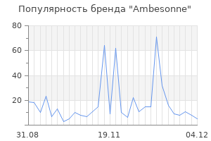 Популярность бренда ambesonne