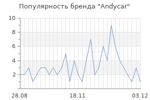 Популярность бренда andycar