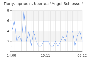 Популярность бренда angel schlesser