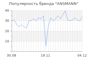 Популярность бренда ansmann