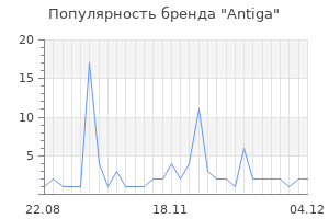 Популярность бренда antiga