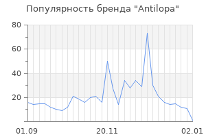 Популярность бренда antilopa