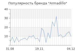 Популярность бренда armadillo
