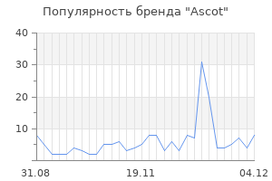 Популярность бренда ascot