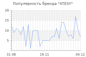 Популярность бренда atesy