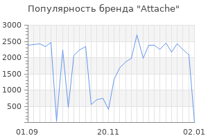 Популярность бренда attache