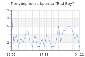 Популярность бренда bad boy