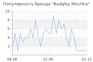 Популярность бренда badgley mischka