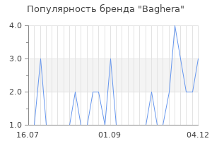 Популярность бренда baghera