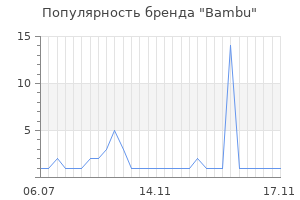 Популярность бренда bambu
