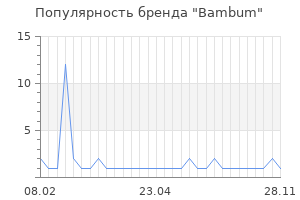 Популярность бренда bambum