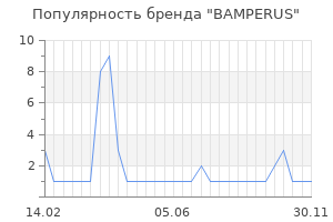 Популярность бренда BAMPERUS