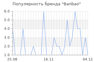 Популярность бренда banbao