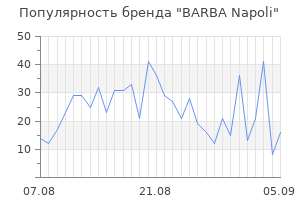 Популярность бренда barba napoli