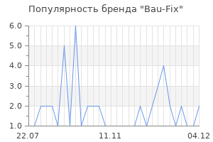 Популярность бренда bau fix