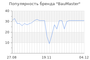 Популярность бренда baumaster