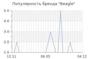 Популярность бренда beagle
