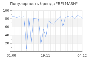 Популярность бренда belmash