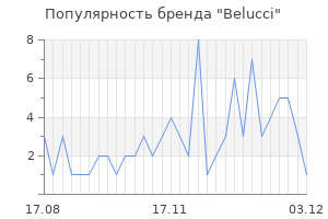 Популярность бренда belucci