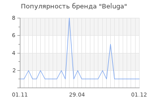 Популярность бренда beluga