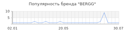 Популярность BERGG
