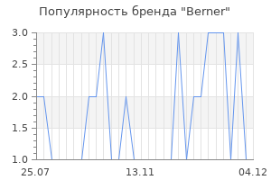 Популярность бренда berner