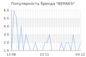 Популярность бренда bernes