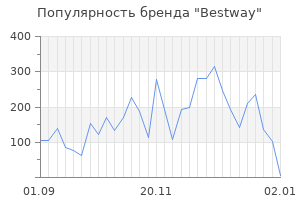 Популярность бренда bestway