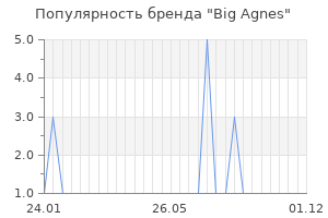 Популярность бренда big agnes