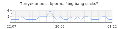 Популярность big bang socks