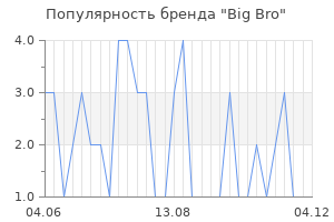 Популярность бренда Big Bro