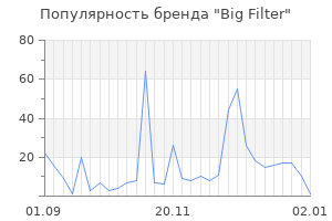 Популярность бренда big filter