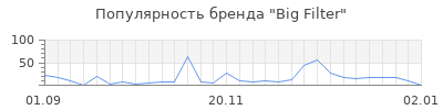 Популярность big filter