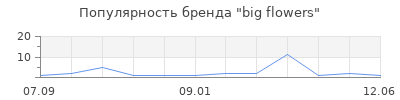 Популярность big flowers