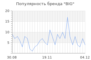 Популярность бренда big