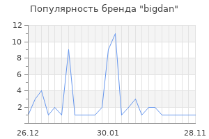 Популярность бренда bigdan