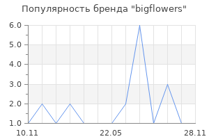 Популярность бренда bigflowers