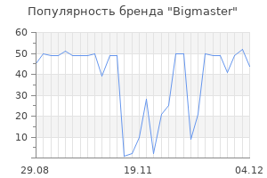 Популярность бренда bigmaster