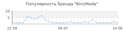 Популярность BirizModa