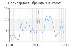 Популярность бренда bitumast