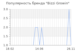 Популярность бренда bizzi growin