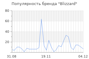 Популярность бренда blizzard
