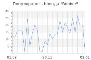 Популярность бренда bobber