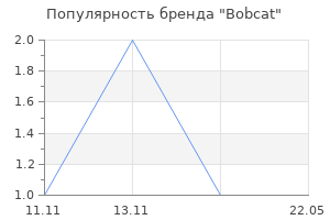 Популярность бренда Bobcat