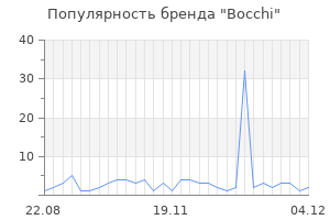 Популярность бренда bocchi