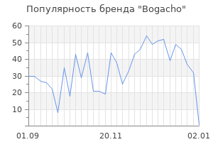 Популярность бренда bogacho